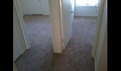 plush carpet 