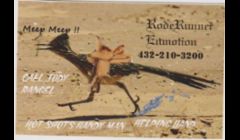 THE RODERUNNER