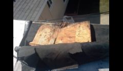 DRY ROT on Inspection report