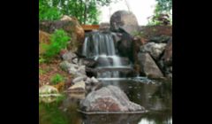 Ross NW Watergardens | Portland Landscaper