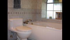 Hall Bath Remodel