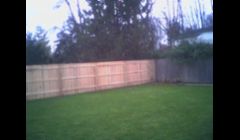 Some privacy fence , nothing fancy.
