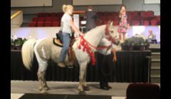 One of our lesson horses 