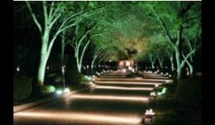 Commercial Outdoor Landscape Lighting 