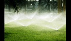 Pop Ups during Irrigation Start Up
