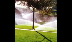 Residential Sprinkler Irrigation