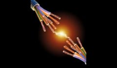 SS Shelton Electrical Services