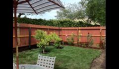 To This
