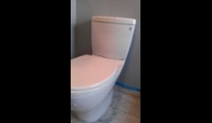Toto toilet