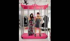 Custom Built Dancing Cages - Iron Flowers - Miami