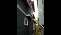 House One. AFTER!