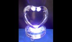 On SPECIAL for VALENTINE'S DAY!!\\nCan engrave your pictures(as 2D),  or 3D images (3D images have to be taken at our location)inside the crystal. \\n$59.95 includes engraving, text, and 3