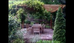 Pergola and patio