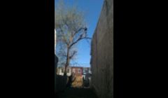\nLot Clearing in Manayunk
