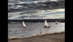 Sailboats at the Vancouver Waterfront