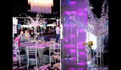Crystal center pieces ...Call now 407 620 0594