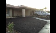 (After) Front Yard Clean Up