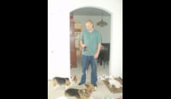 As you can see we're getting ready for our walk with Ben & Bella the Corgi's.