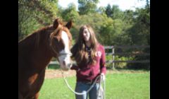 Horsemanship lessons also available