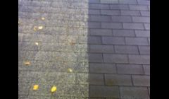 Asphalt roof cleaning. algae and mildew removal and prevention