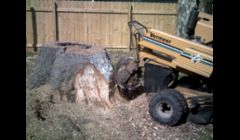 Hank. Grinding down a stump in east orleans