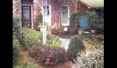 uptown. Ms Jean